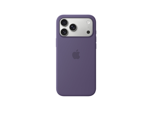 17 Pro Max